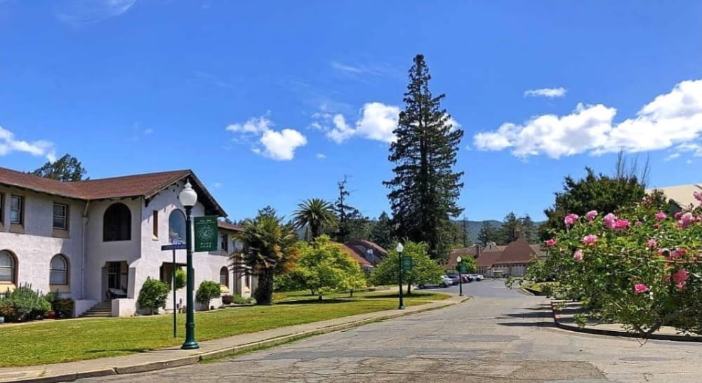CTTB in Spring